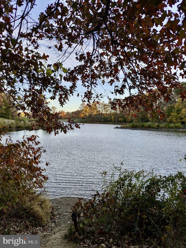 water view