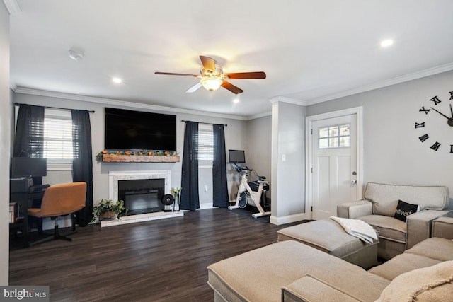 living room featuring ceiling fan, dark wood-type flooring, a glass covered fireplace, and crown molding