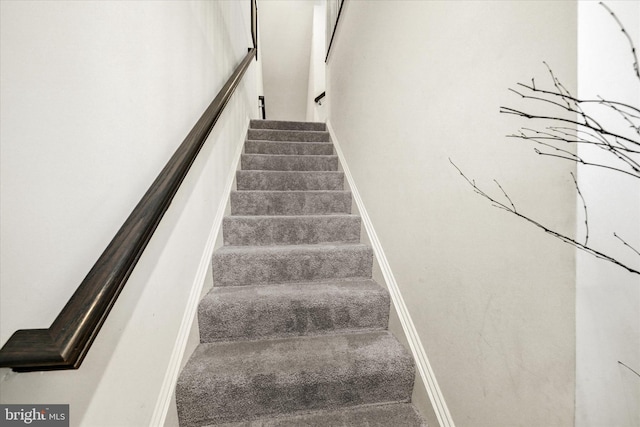 staircase featuring carpet flooring