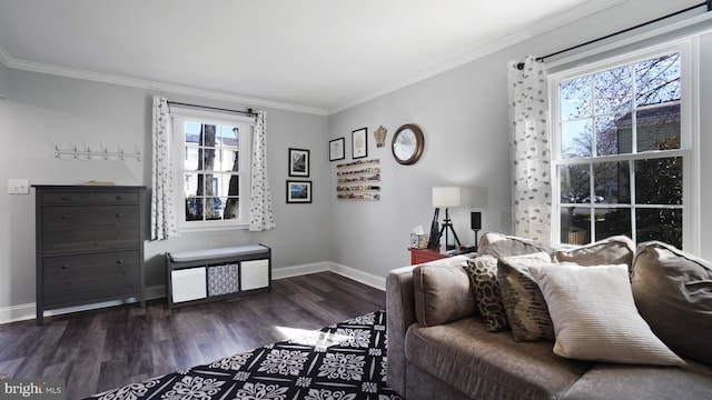 interior space with baseboards, wood finished floors, and crown molding