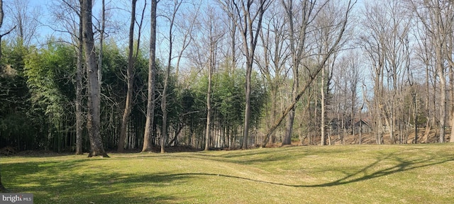 view of yard featuring a wooded view