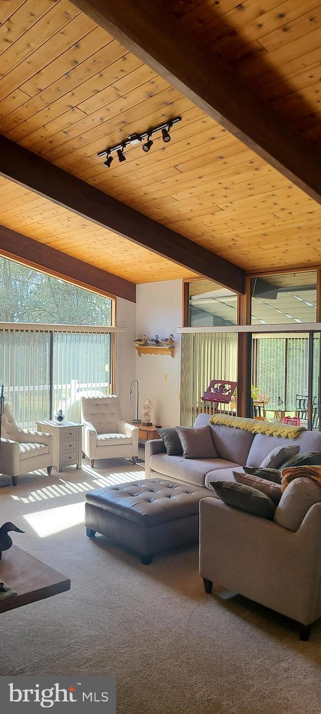 living room with beamed ceiling, wood ceiling, and carpet floors