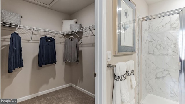 spacious closet with carpet floors