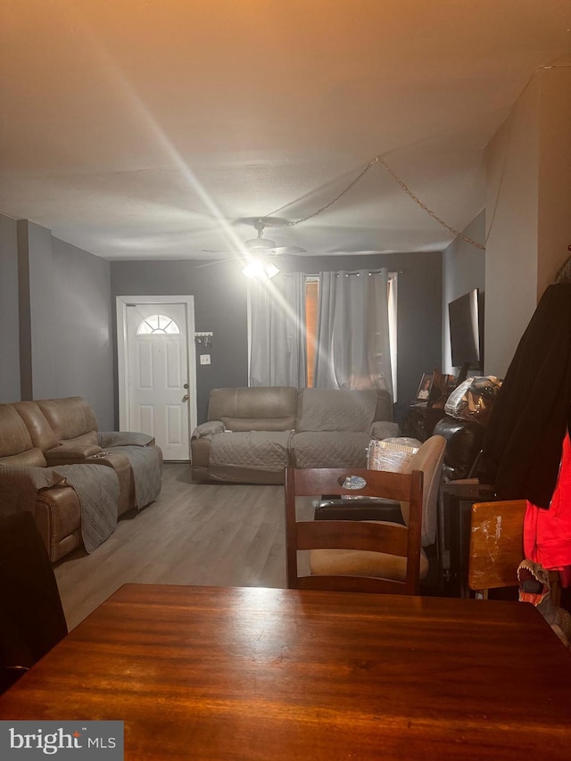 living room with wood finished floors