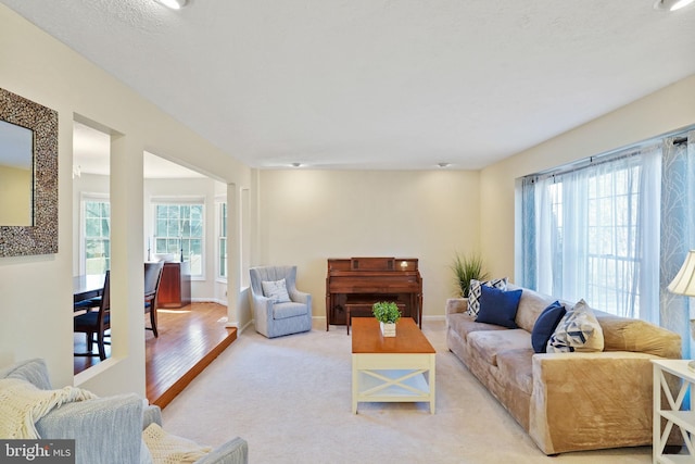 living area with plenty of natural light and baseboards