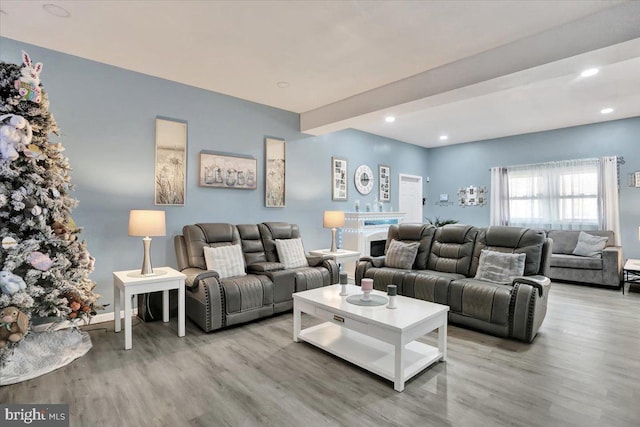 living area featuring recessed lighting and wood finished floors