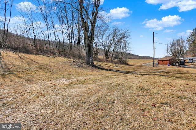 view of yard featuring a rural view