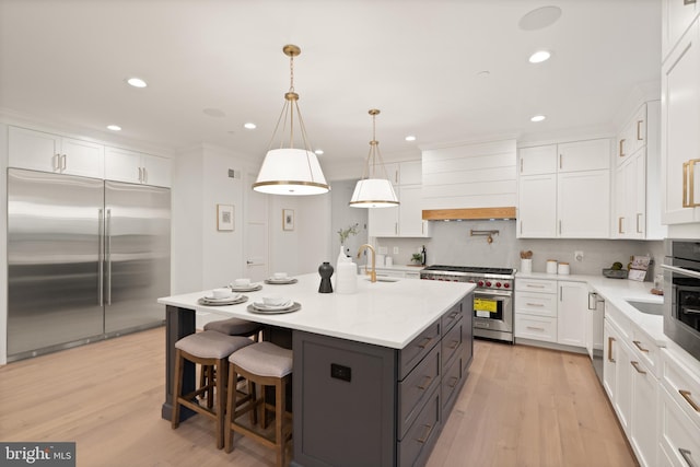 kitchen with light countertops, premium appliances, custom exhaust hood, white cabinetry, and a sink