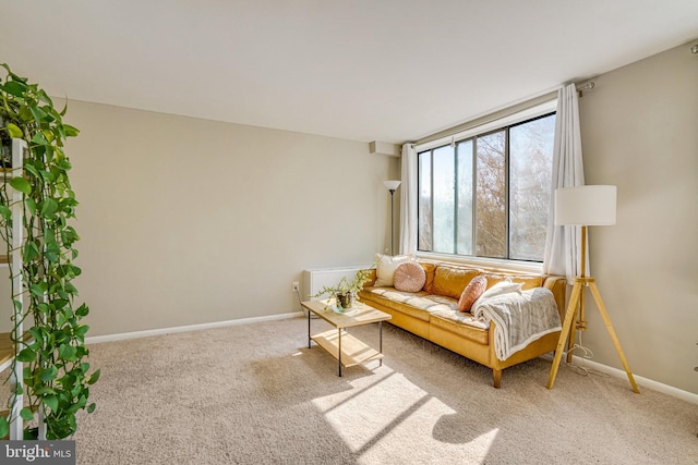 carpeted living area featuring baseboards