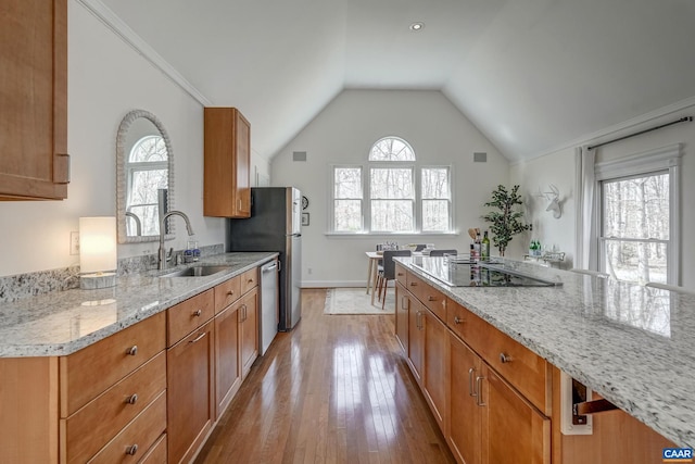 kitchen with a sink, light stone counters, black electric cooktop, dishwasher, and a healthy amount of sunlight