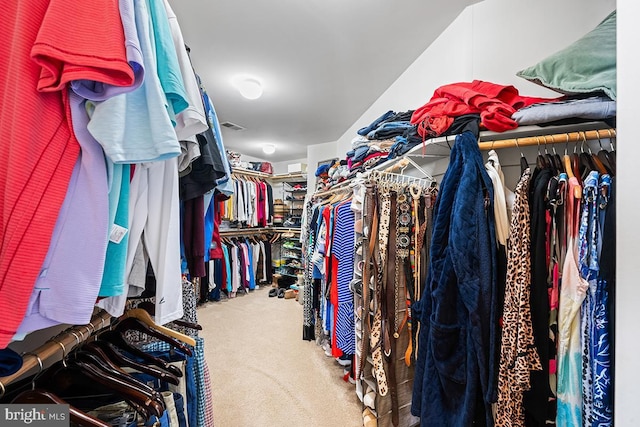 walk in closet with visible vents and carpet