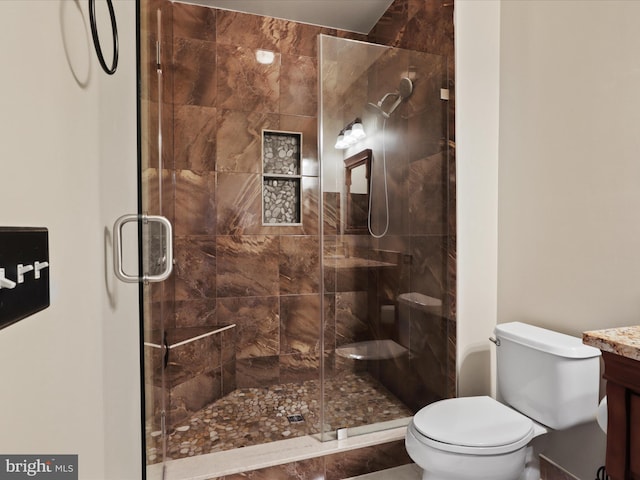 bathroom with vanity, toilet, and a shower stall