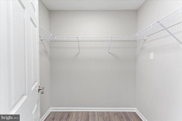 walk in closet featuring wood finished floors