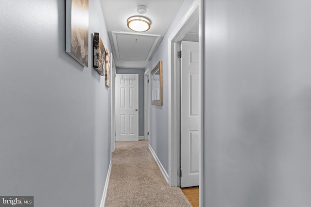 hall with attic access, light colored carpet, and baseboards