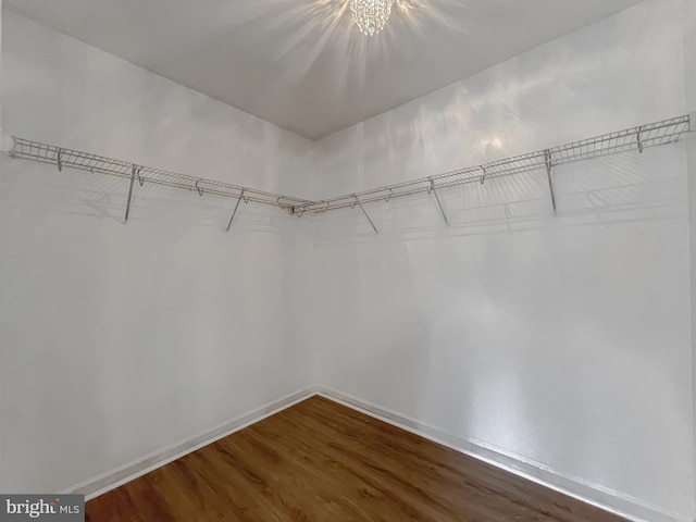 walk in closet featuring dark wood-type flooring