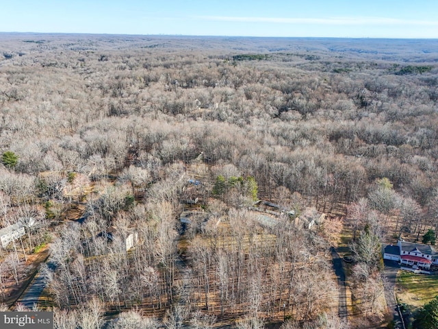 bird's eye view with a forest view