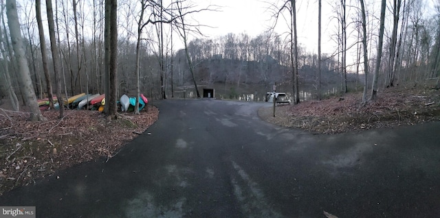 view of road with a wooded view