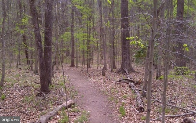 view of nature featuring a forest view