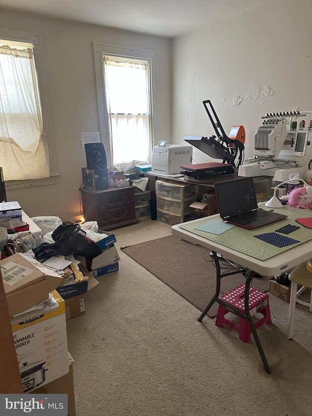 office with carpet floors