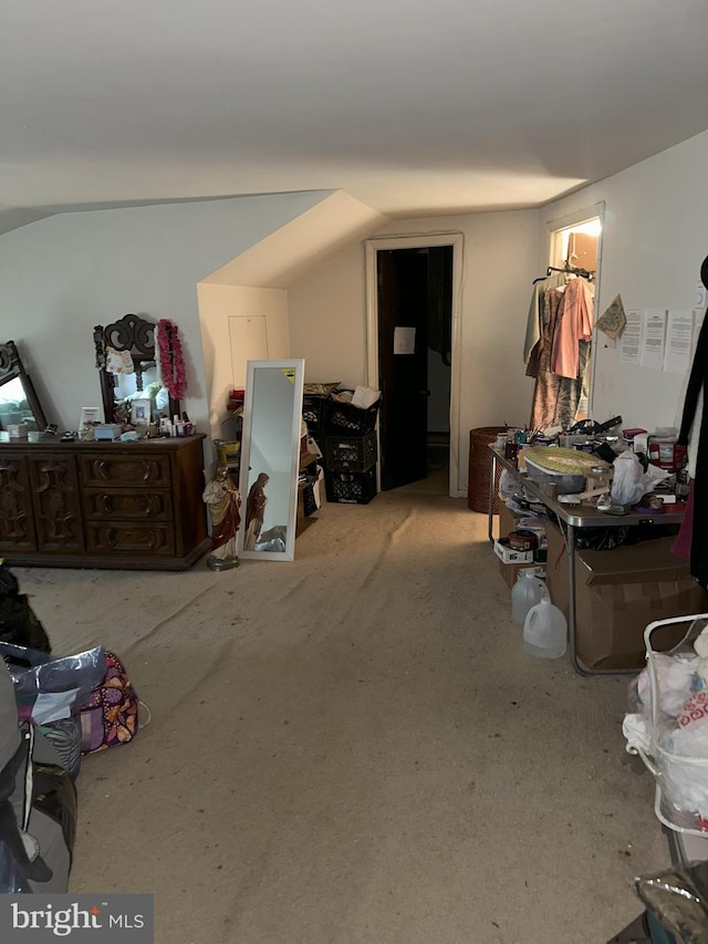 bedroom featuring lofted ceiling