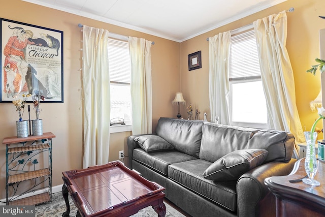 living area with plenty of natural light and crown molding