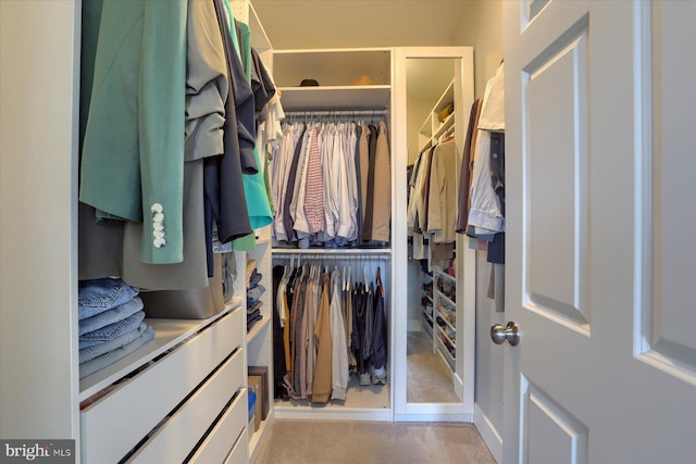 spacious closet featuring light colored carpet