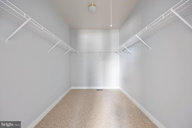 spacious closet with attic access and carpet flooring