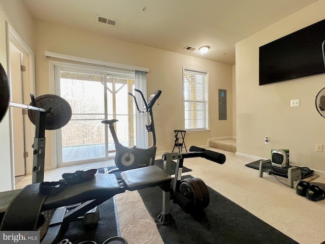 workout area featuring electric panel, visible vents, baseboards, and carpet flooring