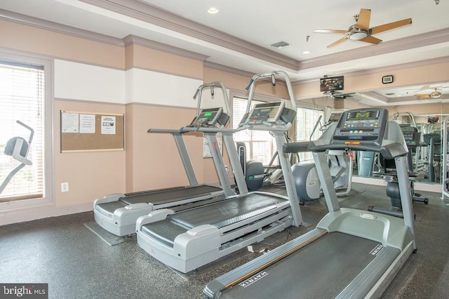 workout area featuring visible vents, a tray ceiling, ceiling fan, and ornamental molding