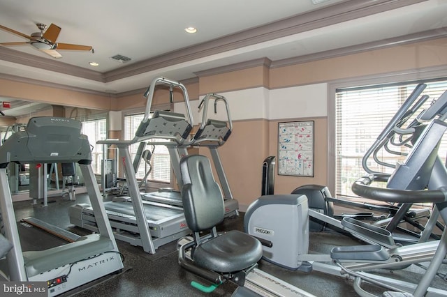 gym with crown molding, recessed lighting, visible vents, and ceiling fan