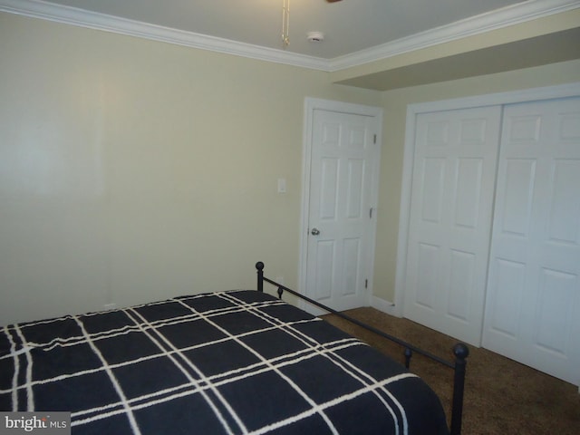 unfurnished bedroom with carpet flooring, a closet, and ornamental molding