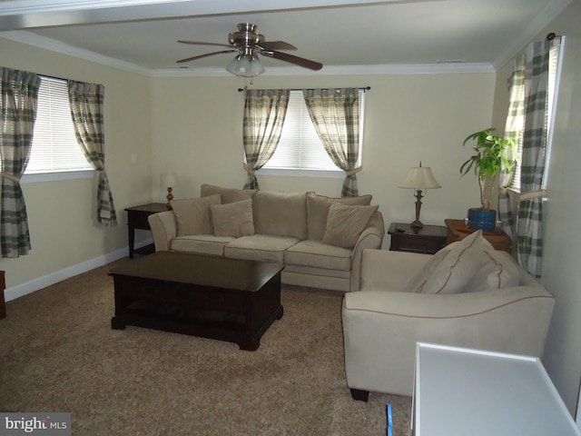 carpeted living area with crown molding, a ceiling fan, and baseboards