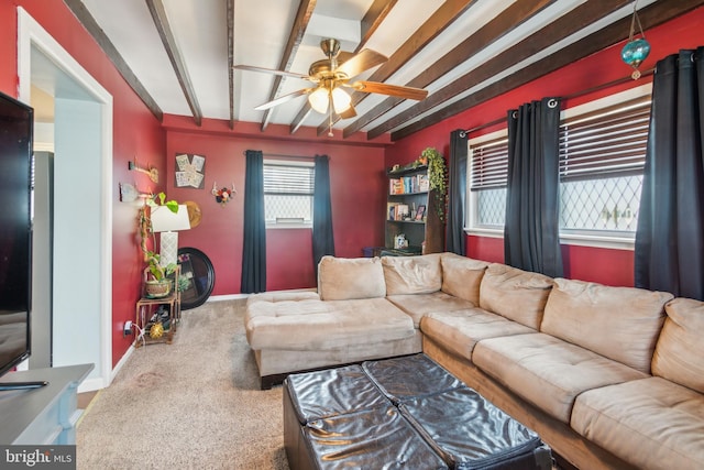 carpeted living area with baseboards, beam ceiling, and ceiling fan