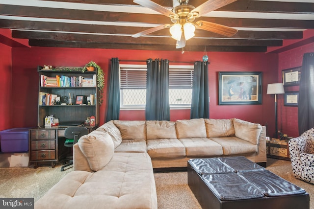 carpeted living room featuring beam ceiling and a ceiling fan