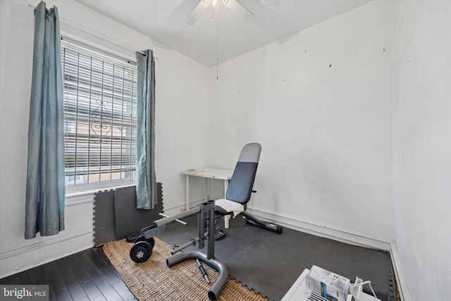 workout area with wood finished floors and ceiling fan