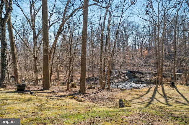 view of yard featuring a wooded view