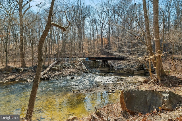 view of water feature