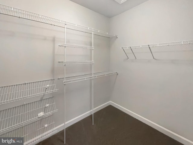 view of walk in closet