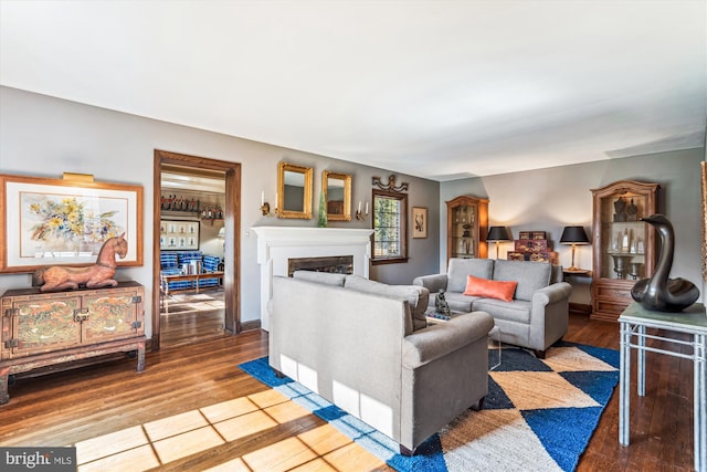 living area with baseboards, wood finished floors, and a fireplace