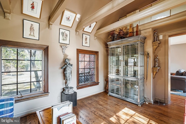 entrance foyer with baseboards and wood finished floors