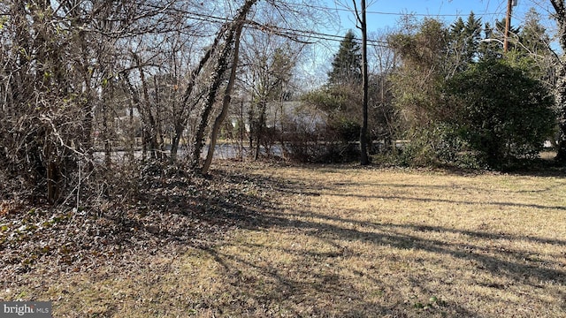 view of local wilderness