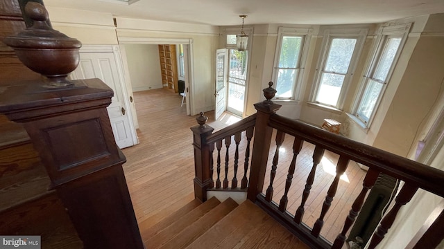 staircase featuring wood finished floors