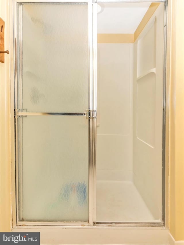 bathroom featuring a stall shower