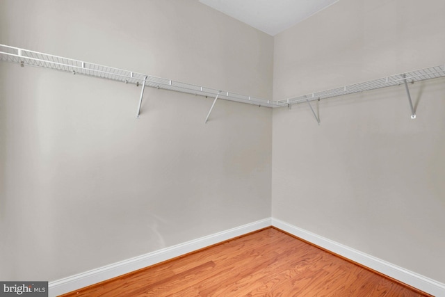 spacious closet featuring light wood finished floors