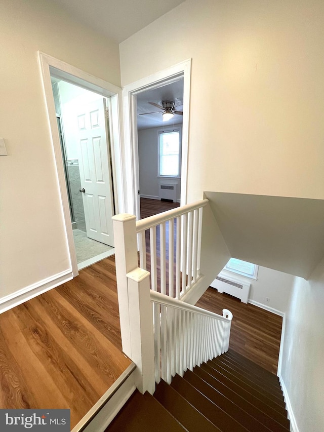 stairway with visible vents, baseboards, radiator heating unit, a skylight, and wood finished floors