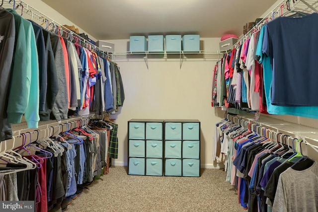 spacious closet with carpet