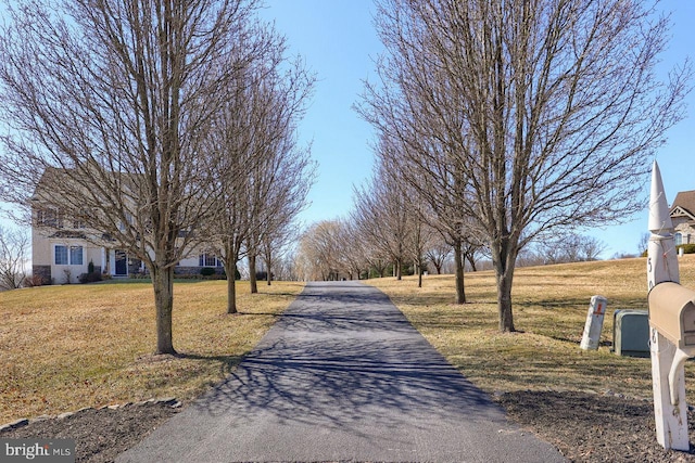 view of road