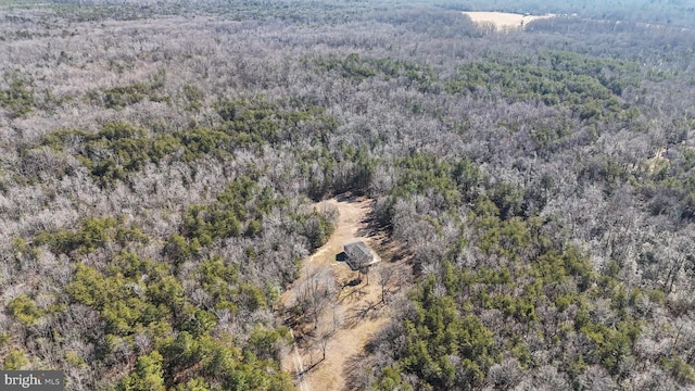 bird's eye view with a wooded view