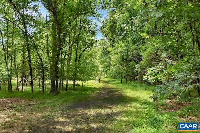 view of nature featuring a wooded view