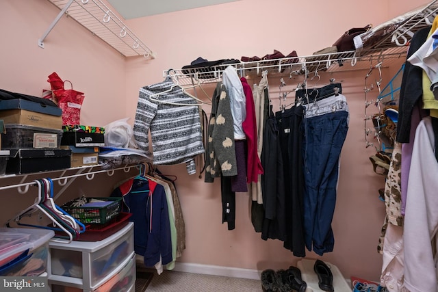 view of spacious closet